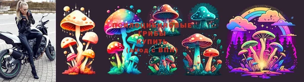 прущий лед Арсеньев