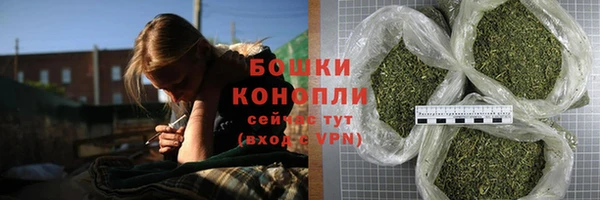 сатива Армянск