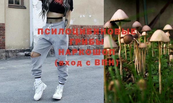сатива Армянск
