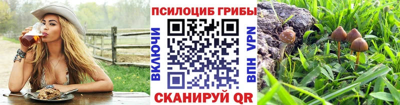 Псилоцибиновые грибы Cubensis цены Саки